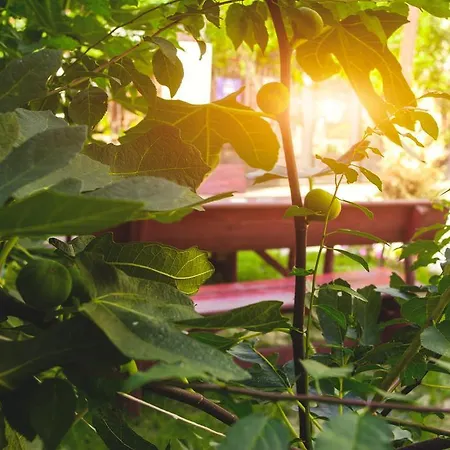 ユニバース ホステル * スコピエ